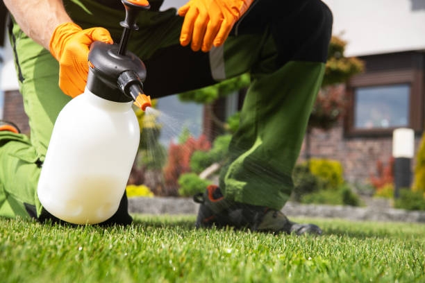 Bird Control in Tarpon Springs, FL