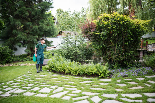 Best Ant Control Services  in Tarpon Springs, FL