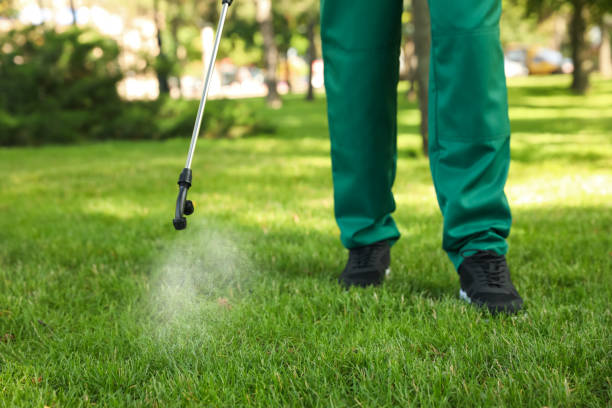 Tarpon Springs, FL Pest Control Company
