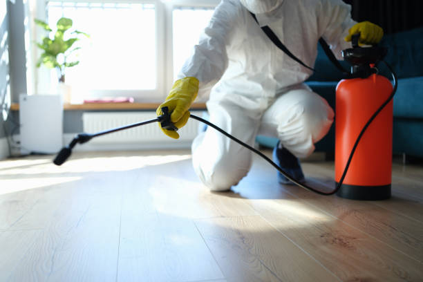 Flea Control Services in Tarpon Springs, FL